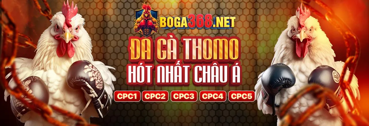 Hướng dẫn săn Jackpot B52