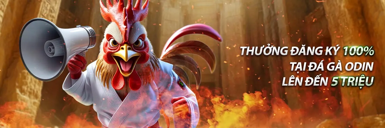 Hình ảnh minh họa các điều khoản và chính sách quan trọng của B52